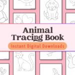 Perfect for ages 3-5! Let your child trace and color animals like snails and elephants while improving pencil control skills.